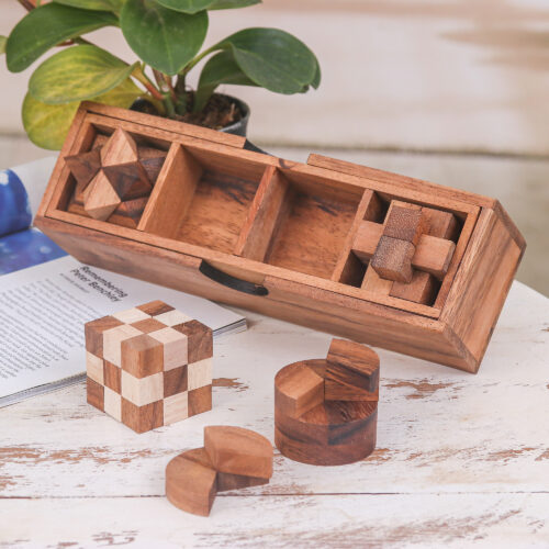 4 Raintree and Rubberwood Brain Teaser Puzzles with Box, 'Fun and Games'