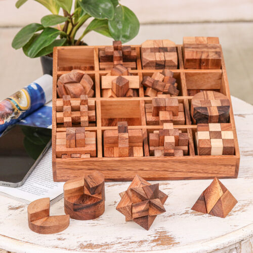 Set of 16 Wood Logic Puzzles with Box Crafted in Thailand, 'Logical Challenges'
