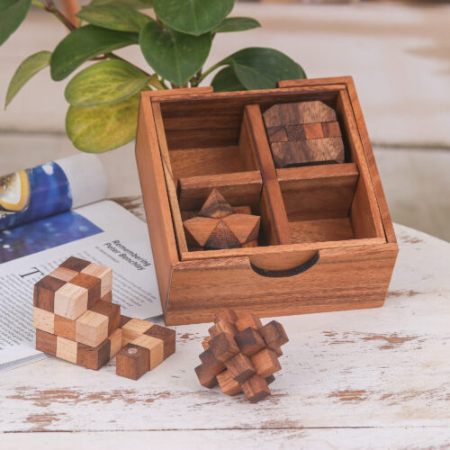 Set of 5 Wooden Brain Teaser Puzzles with Storage Box, 'Challenge Your Mind'